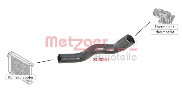 2420251 Metzger