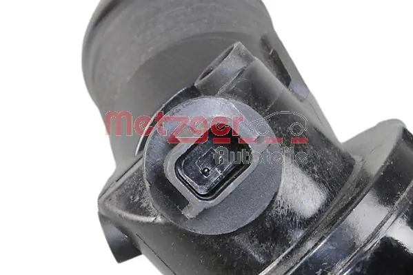 110617250R Renault (RVI) Termostat