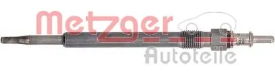 H1139 Metzger