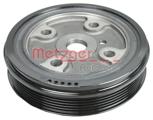 6400077 Metzger