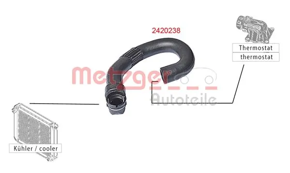 2420238 Metzger