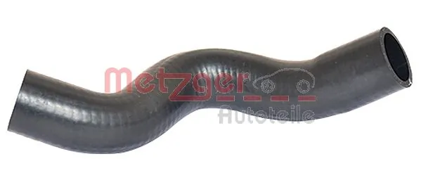 2420144 Metzger