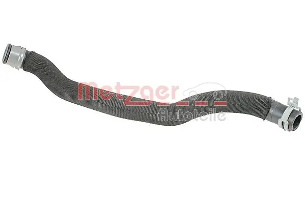 2421298 Metzger