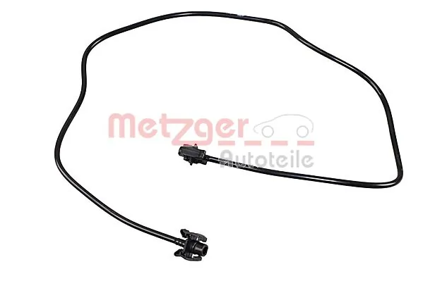 2421388 Metzger