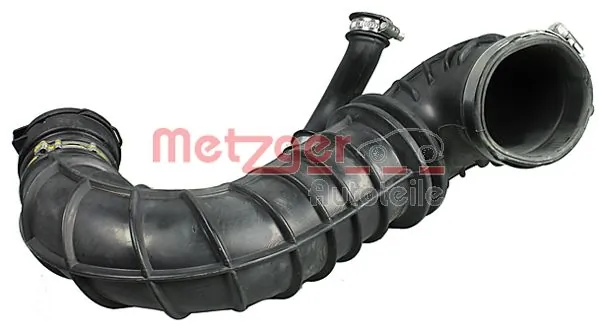 2389007 Metzger