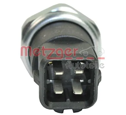 0917273 Metzger
