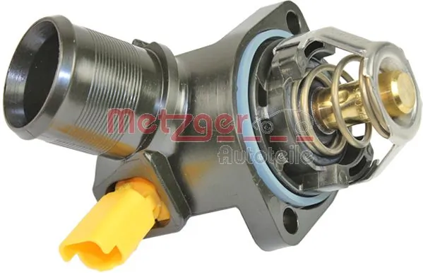 Termostat Peugeot 207 SW