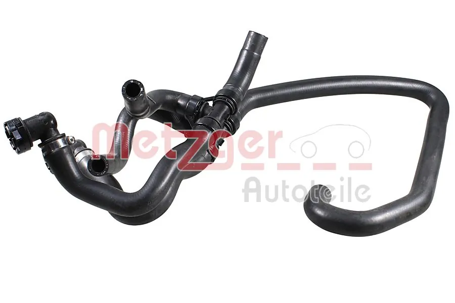 2421637 Metzger