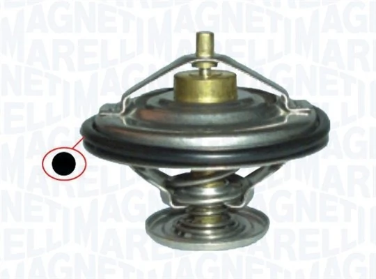 Termostat do Mercedes 100 631