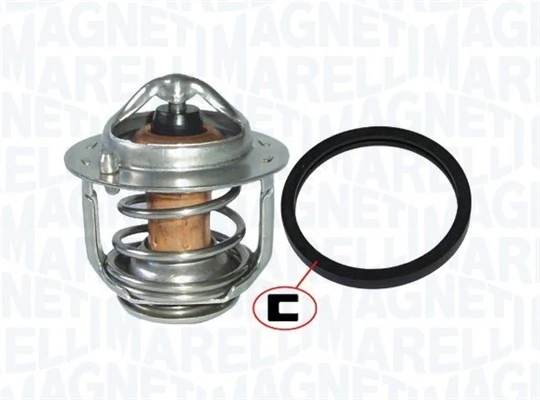 352317101210 Magneti Marelli