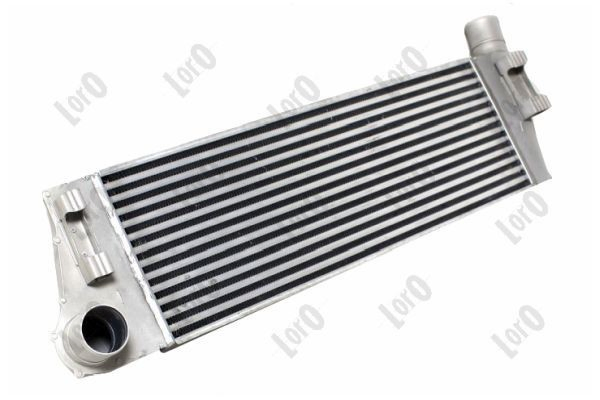 Do koszyka Chłodnica intercoolera Renault Megane II EM0, EM1