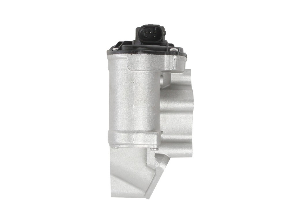 Zawór recyrkulacji spalin EGR Renault Vel Satis hatchback (BJ0) (2002 - 2009) cena, od 117,90 USD