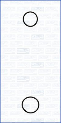 77001900 Ajusa