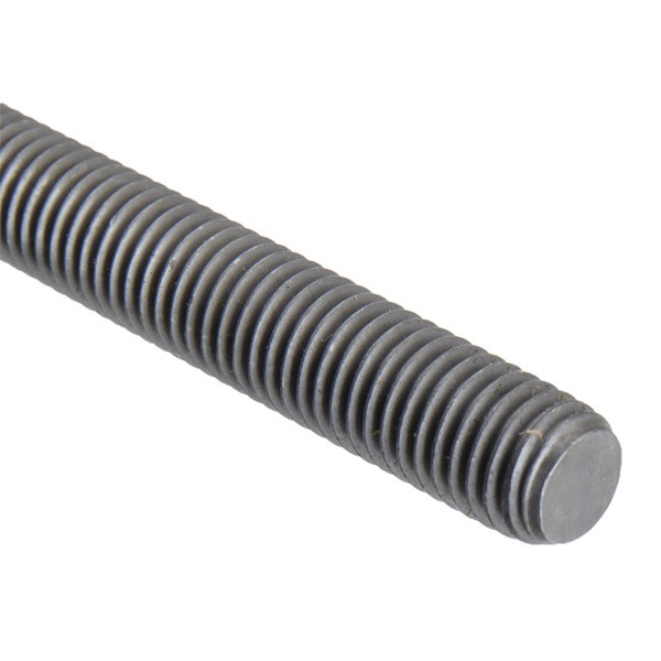 Śruba głowicy cylindrów 81000600 Ajusa