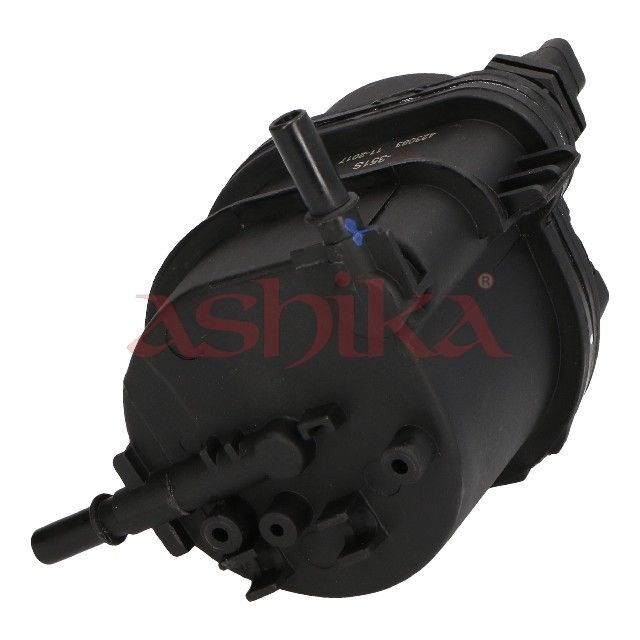 3003351 Ashika