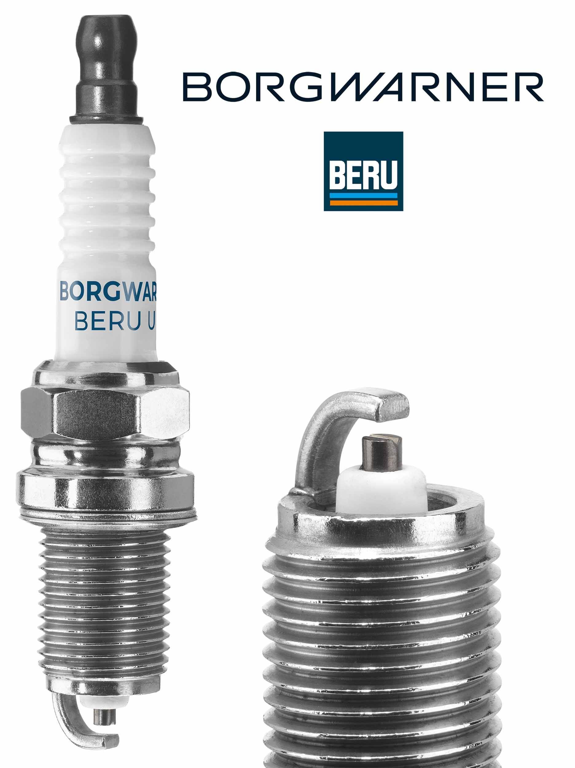 Z249 Beru