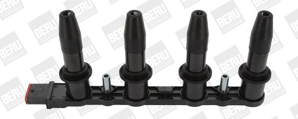  Beru ZS427