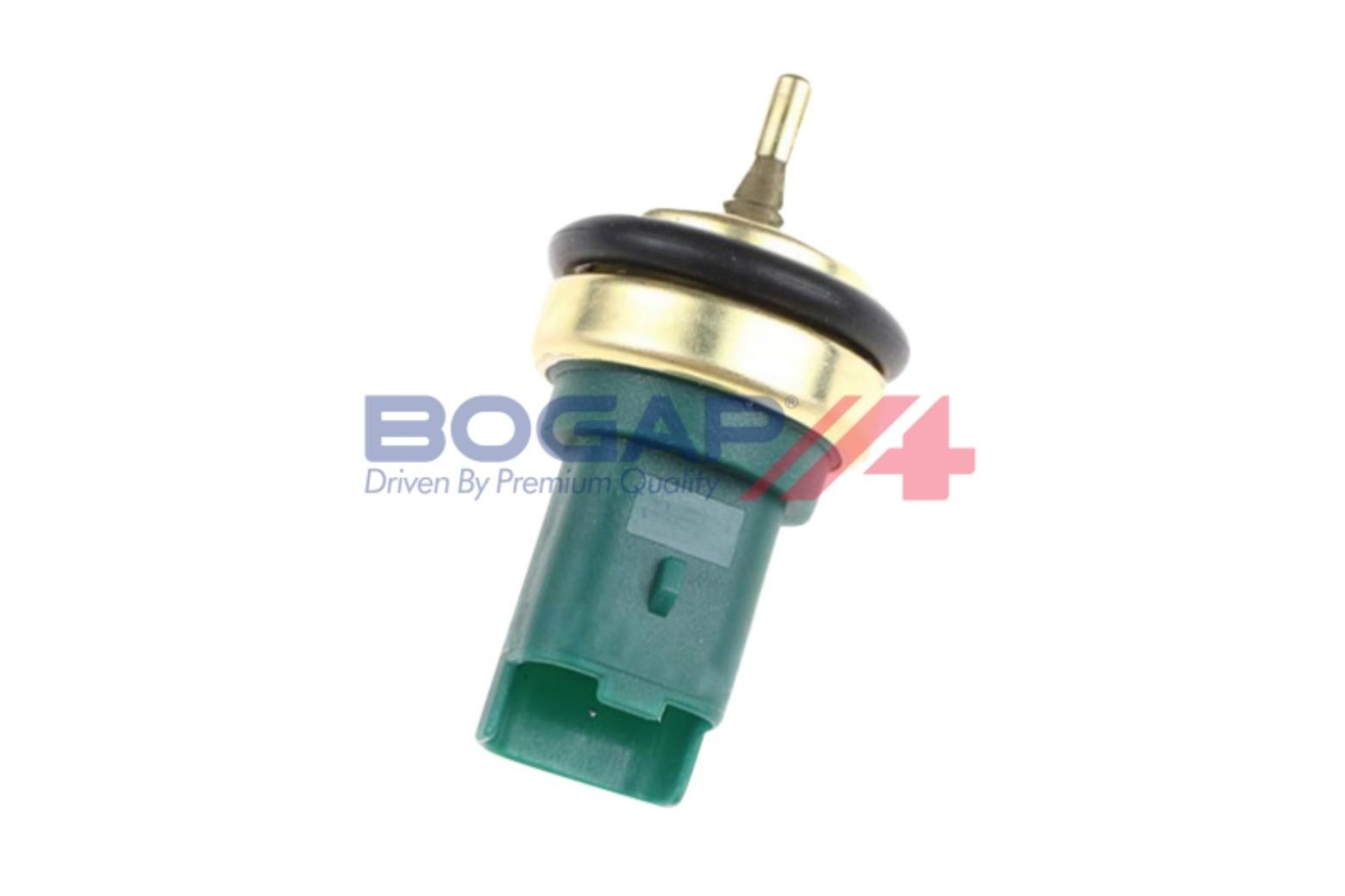 P4126127 Bogap