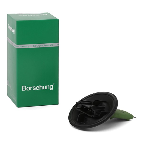  Borsehung B11459