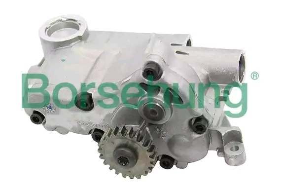 Pompa oleju Borsehung B12698 cena, od 95,17 USD
