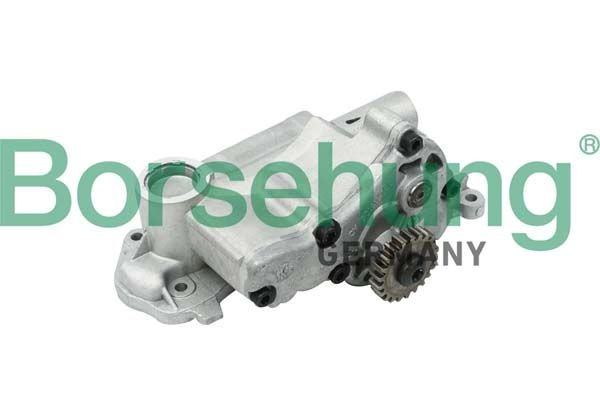 B12698 Borsehung Pompa oleju