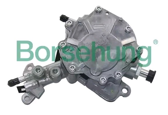 B14919 Borsehung Pompa paliwowa tandemowa