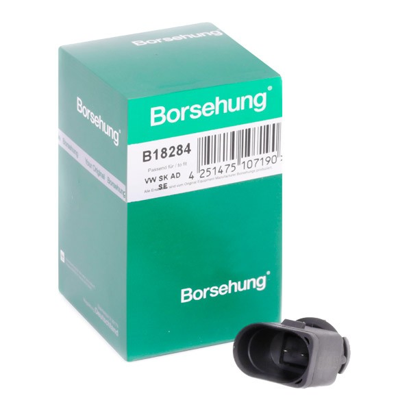 Czujnik temperatury zewnętrznej B18284 Borsehung