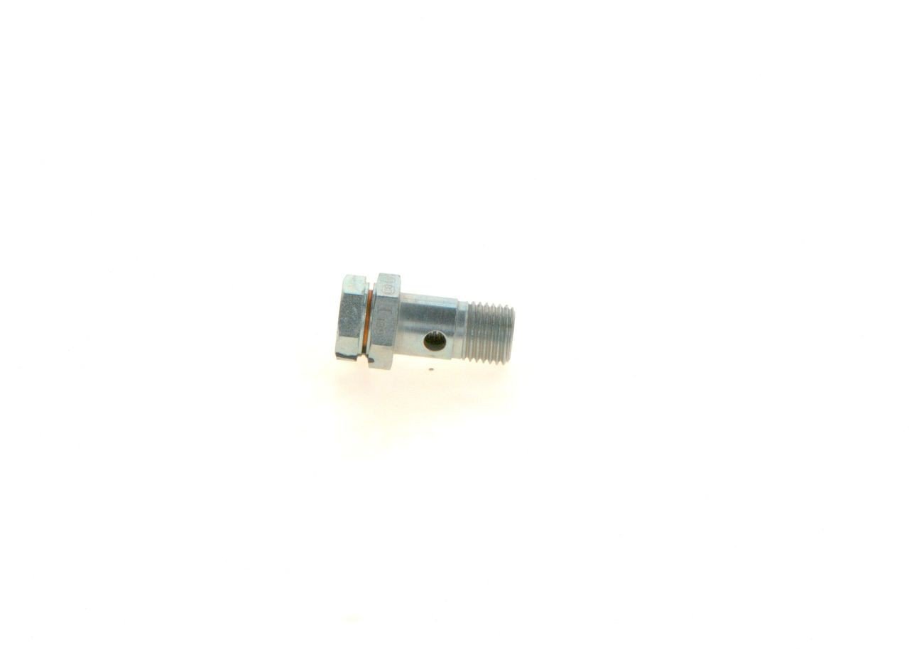 Zawór zwrotny filtra paliwa Bosch 1417413000