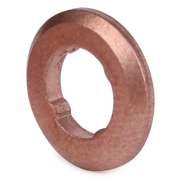  Bosch F00VP01009