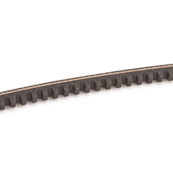 10A0790C Dayco
