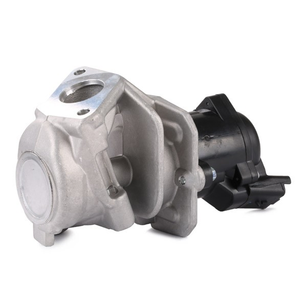 Zawór recyrkulacji spalin EGR Delphi EG1041512B1 cena, od 89,32 USD
