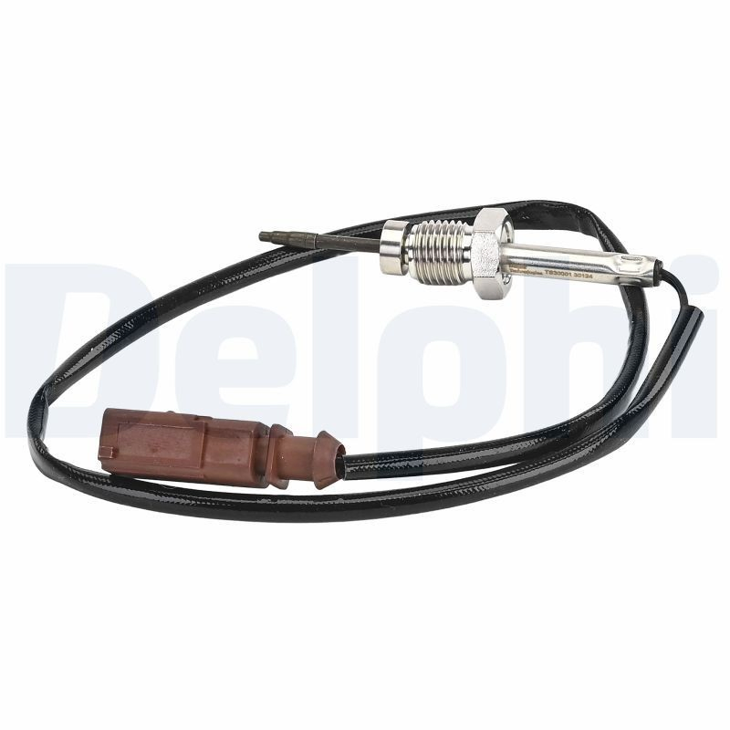 TS3000112B1 Delphi