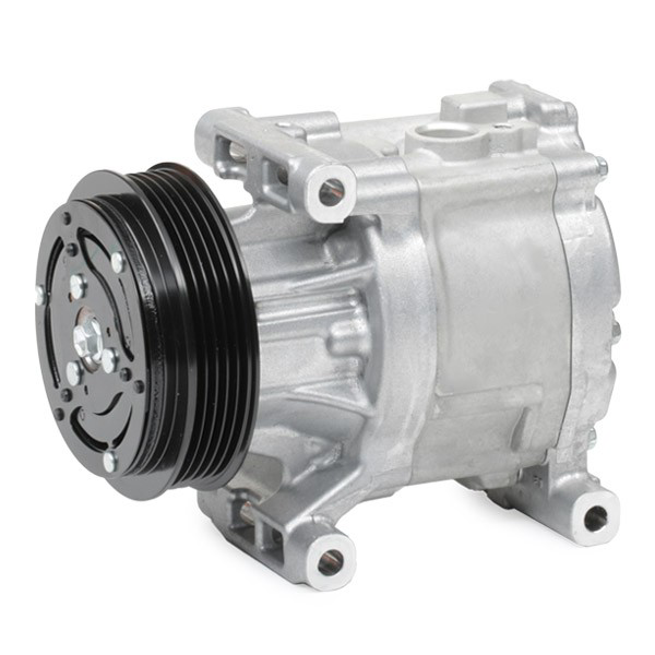 DCP09061 Denso Sprężarka klimatyzacji