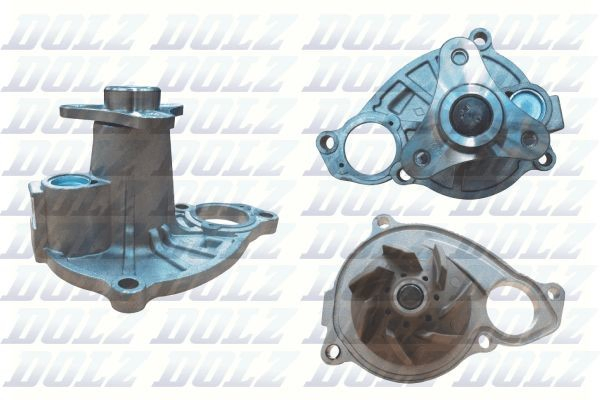 B262 Dolz