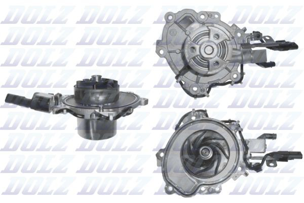 L247V Dolz