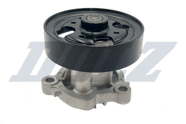 N152 Dolz