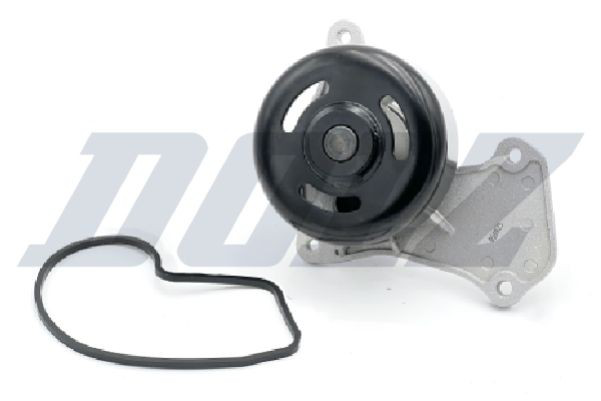 N163 Dolz