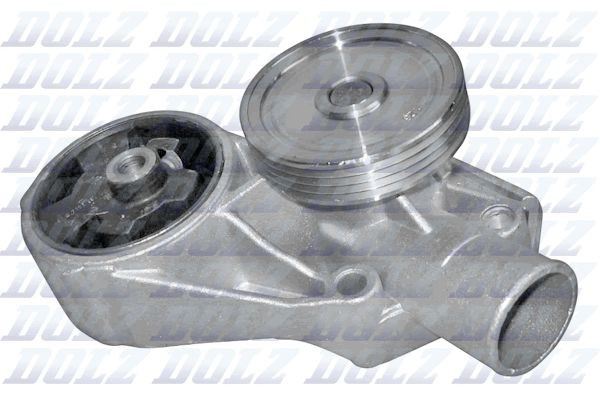 S193 Dolz