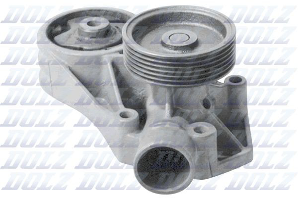 S194 Dolz