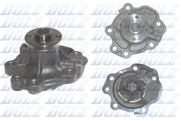 S245 Dolz