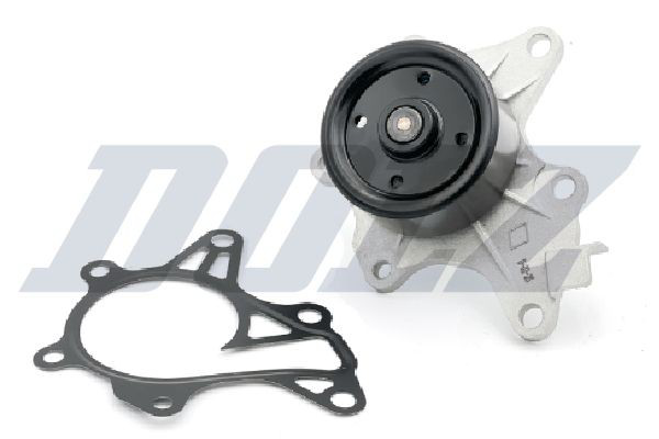 T195 Dolz