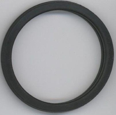 027450 Elring Uszczelka termostatu