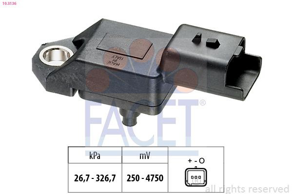 103136 Facet 