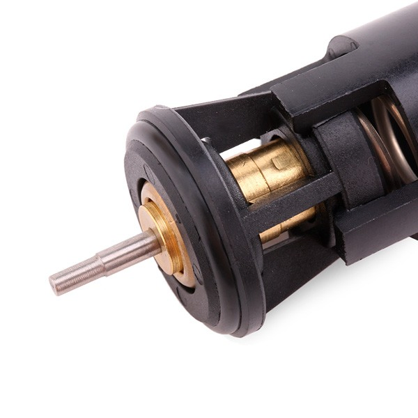 Termostat 17902 Febi