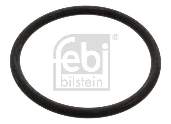 Do koszyka Uszczelka termostatu Volkswagen Jetta V 1K2
