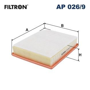 AP009 Filtron