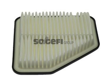 CA10169 Fram Filtr powietrza