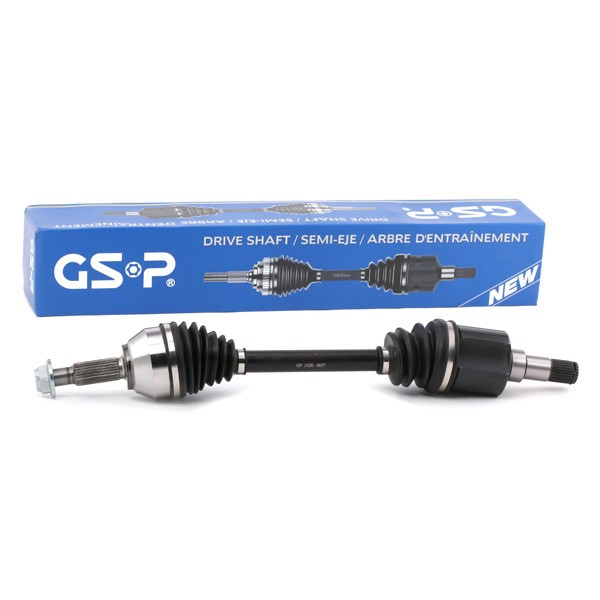  GSP 218263