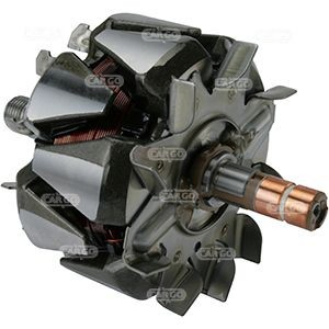  Wirnik alternatora Volkswagen Jetta 6