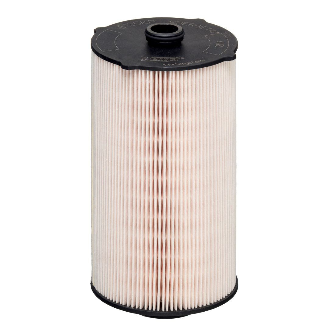 Filtr paliwa Hengst E125KPD302 cena, od 51,46 USD
